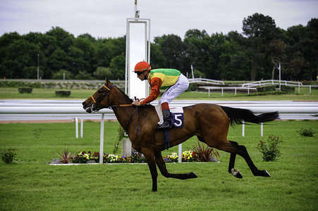 Actualités Hippiques